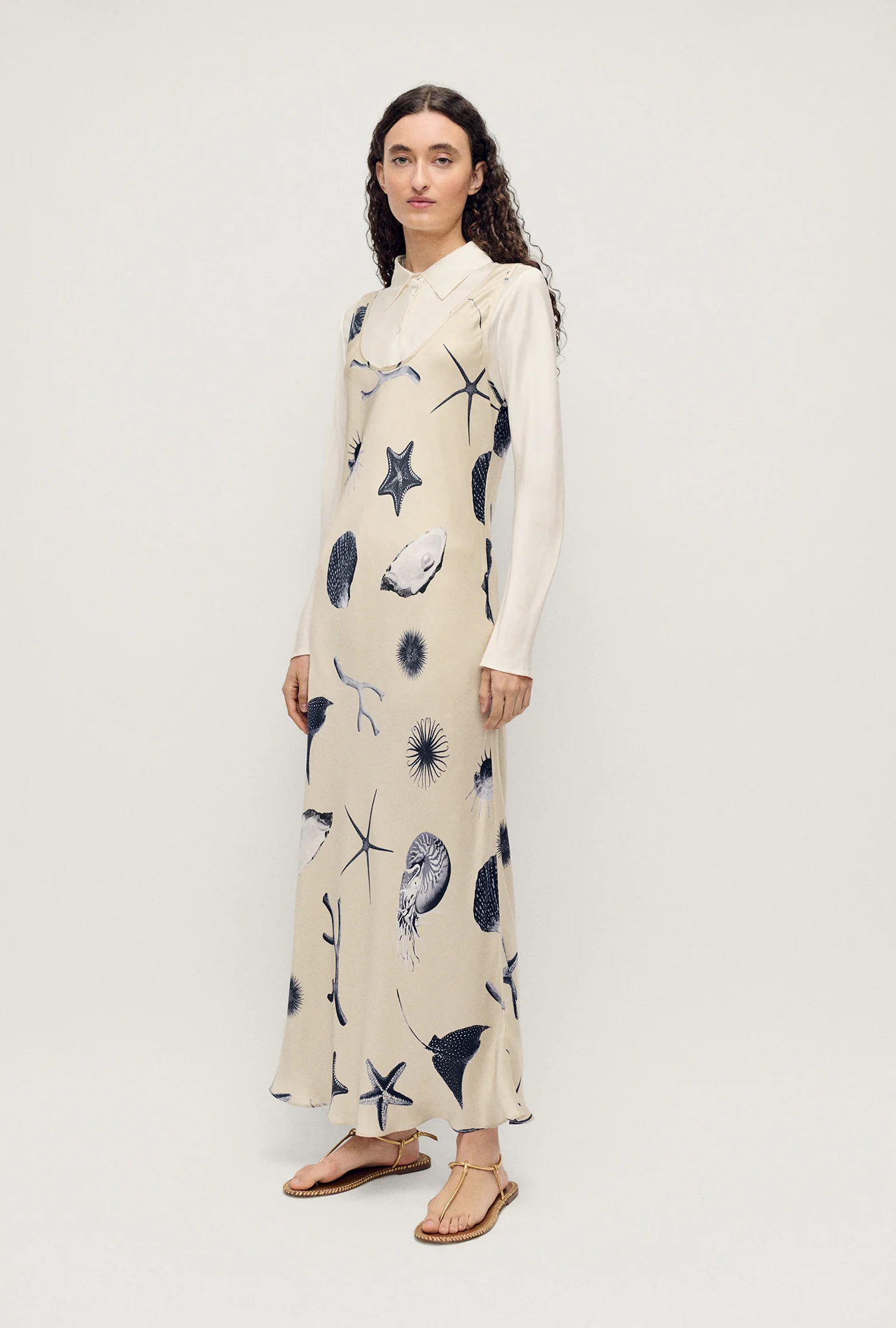 Scoop Neck Dress Seashells - Image 2