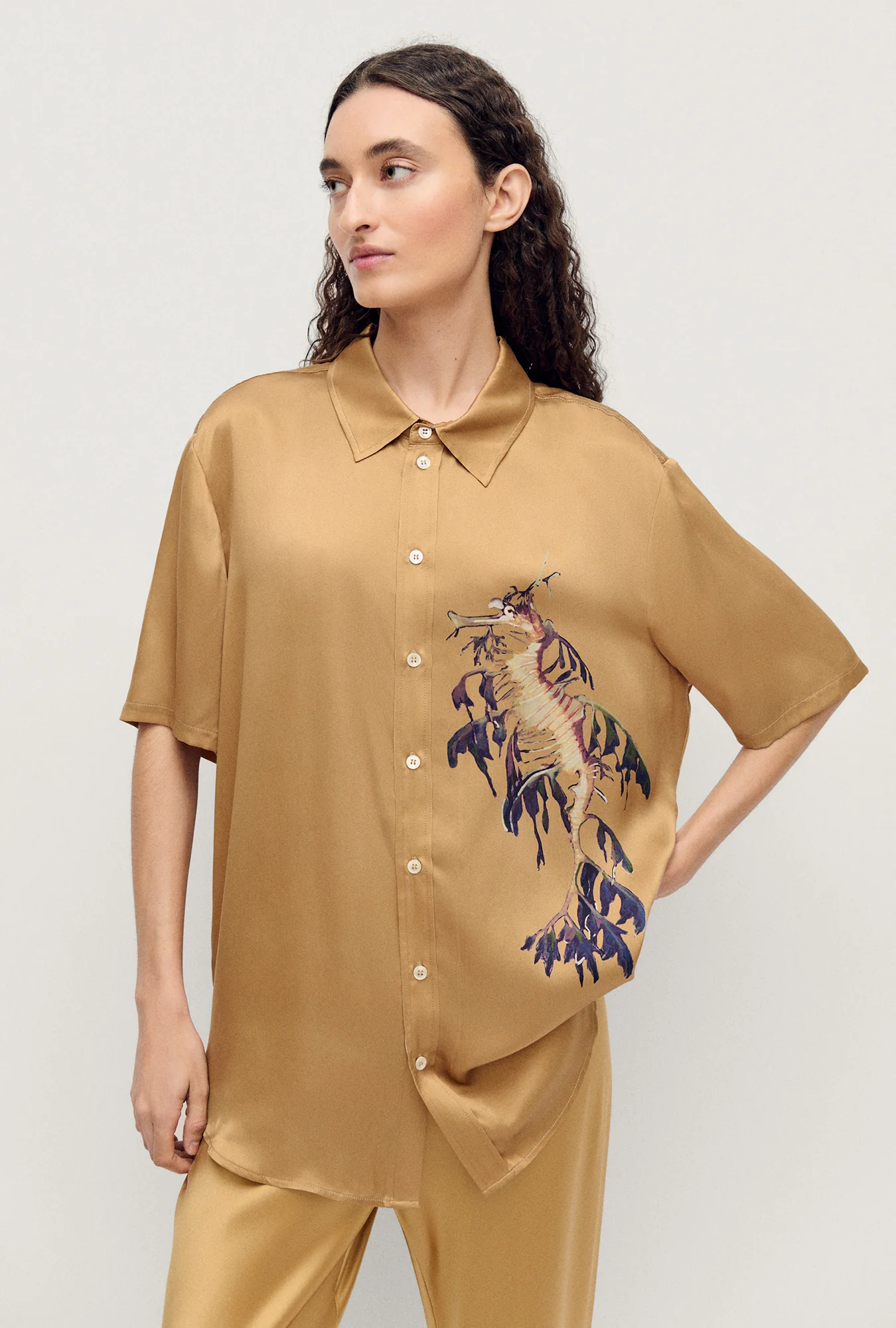 Short Sleeve Boyfriend Shirt Seahorse - Image 3