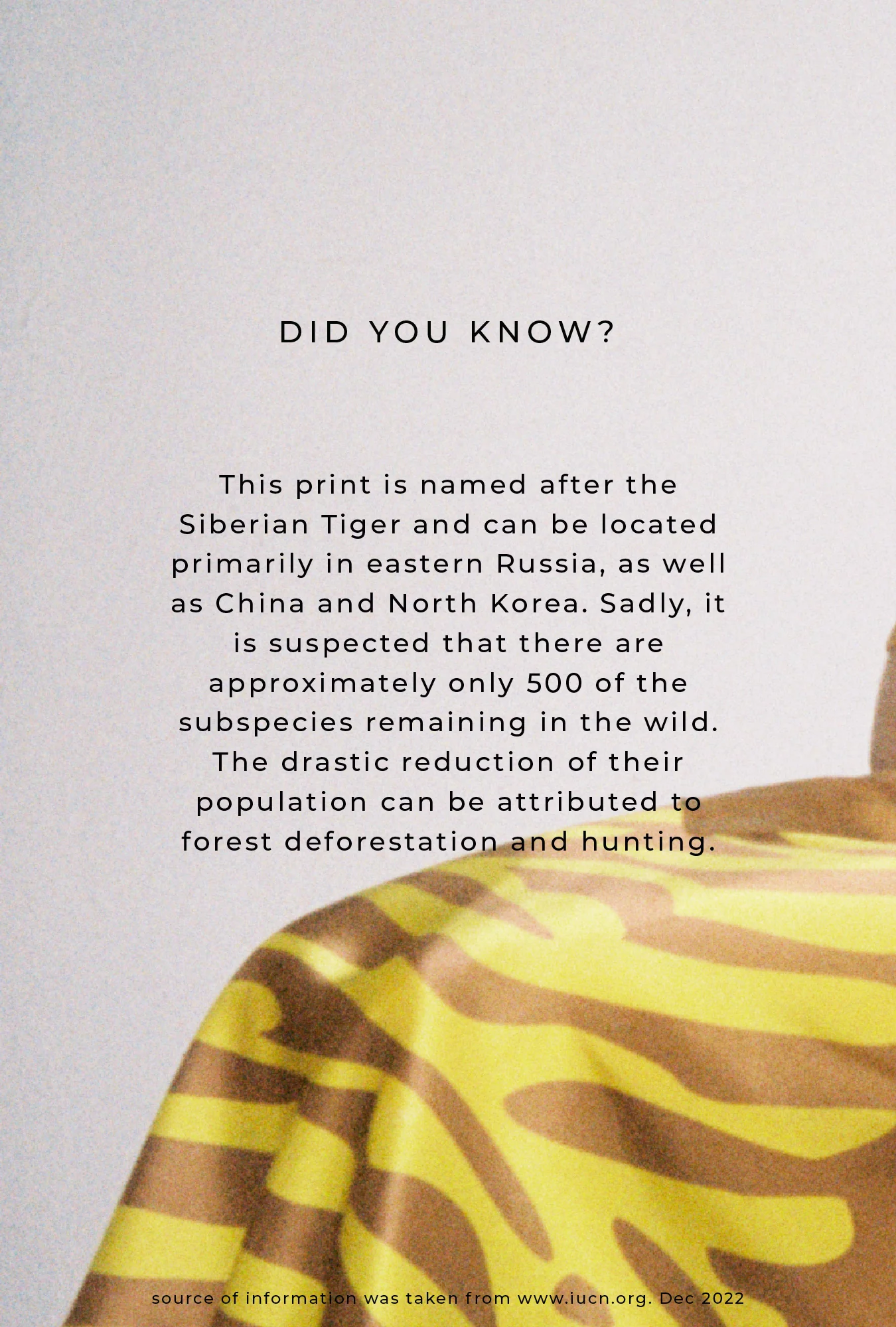 Straight Neck Cami Tiger Matisse - Image 6