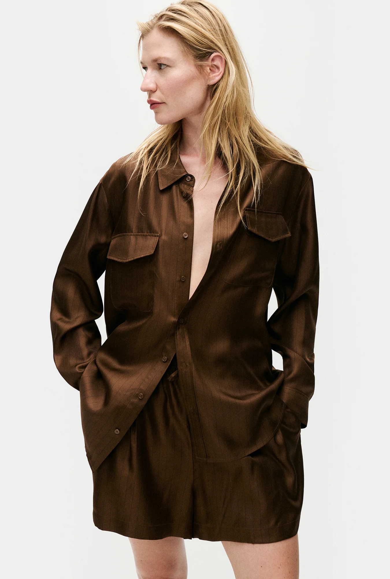 Twill Boyfriend Shirt Dark Earth Pinstripe - Image 2